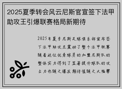 2025夏季转会风云尼斯官宣签下法甲助攻王引爆联赛格局新期待 2025夏季转会风云尼斯官宣签下法甲助攻王引爆联赛格局新期待